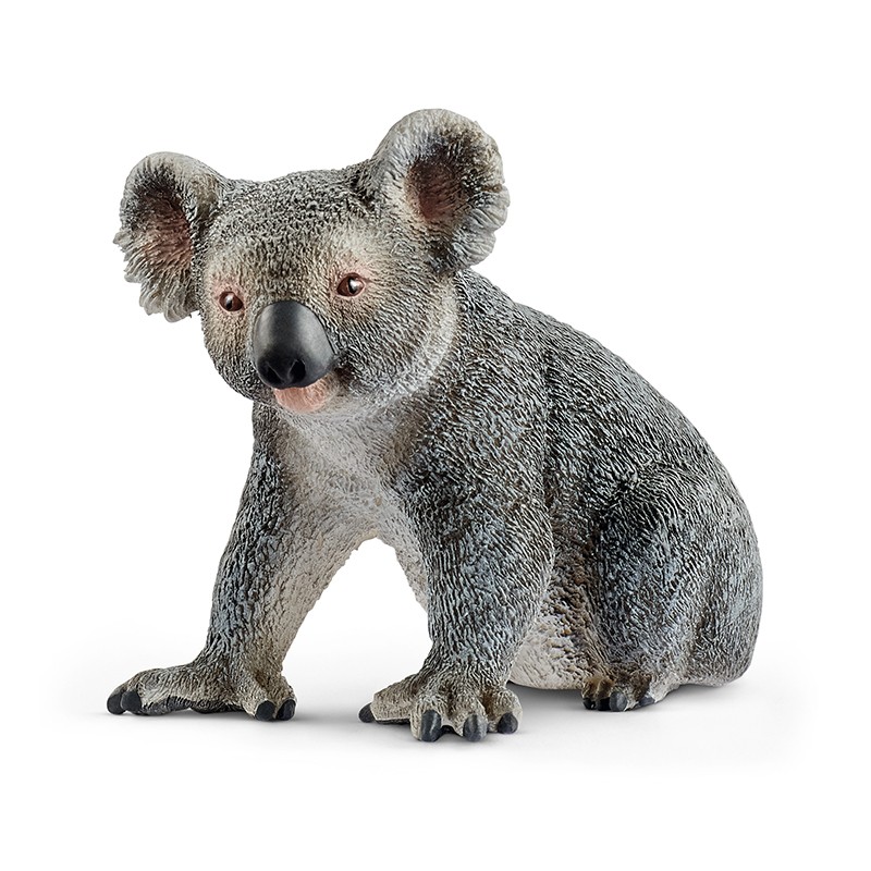 FIGURA KOALA MACHO