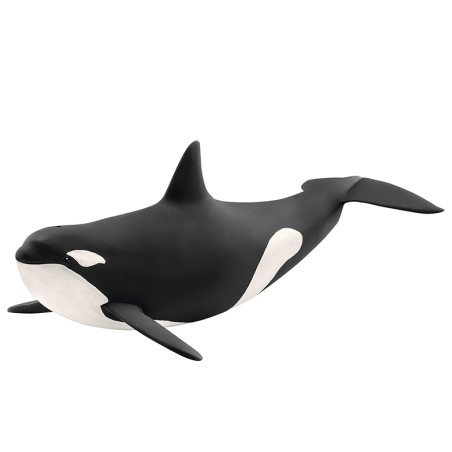 FIGURA ORCA