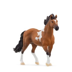 FIGURA SEMENTAL MANGALARGA MAR