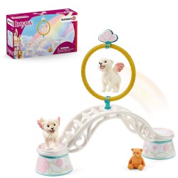 FIGURA ENTRENAMIENTO DE LEONCI