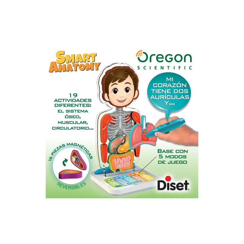 OREGON SMART ANATOMY