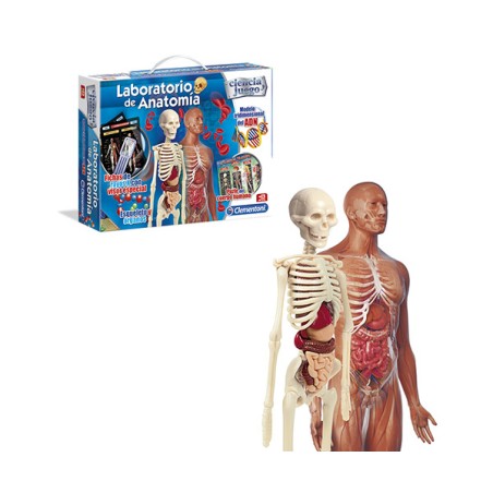 LABORATORIO DE ANATOMIA