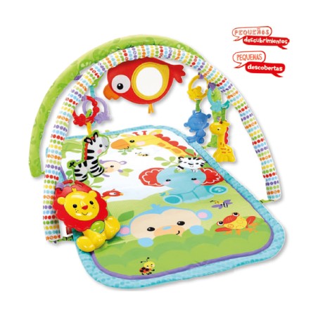 GIMNASIO MUSICAL ANIMALIT. D S