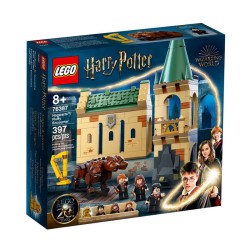 HARRY POTTER ENCUENTRO CON FLU