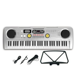ORGANO 61 TECLAS CON MICROFONO
