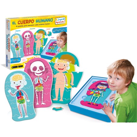 EL CUERPO HUMANO