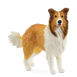 FIGURA COLLIE