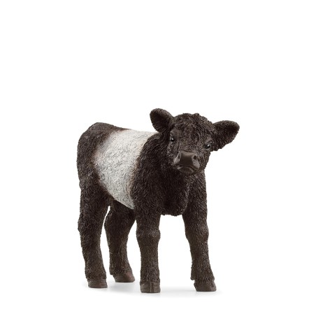 FIGURA TERNERO GALLOWAY