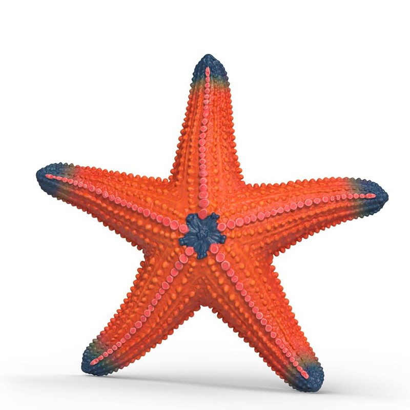 FIGURA ESTRELLA DE MAR