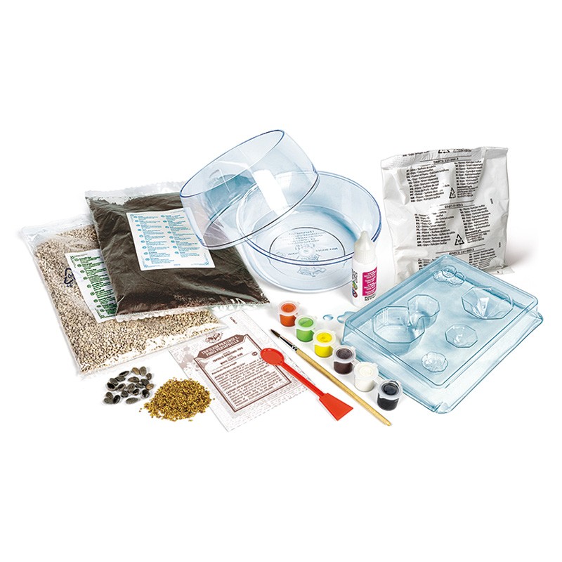 HARRY POTTER TERRARIUM