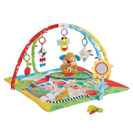 FP GIMNASIO APRENDIZAJE DE PER