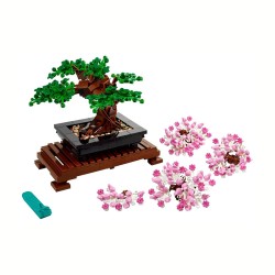 BOTANICALS BONSAI