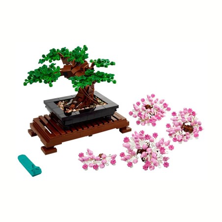 BOTANICALS BONSAI