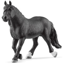 FIGURA SEMENTAL NORIKER