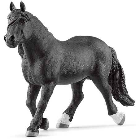 FIGURA SEMENTAL NORIKER