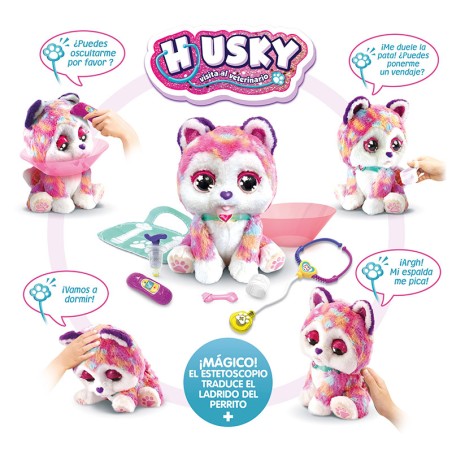 HUSKY VISITA AL VETERINARIO