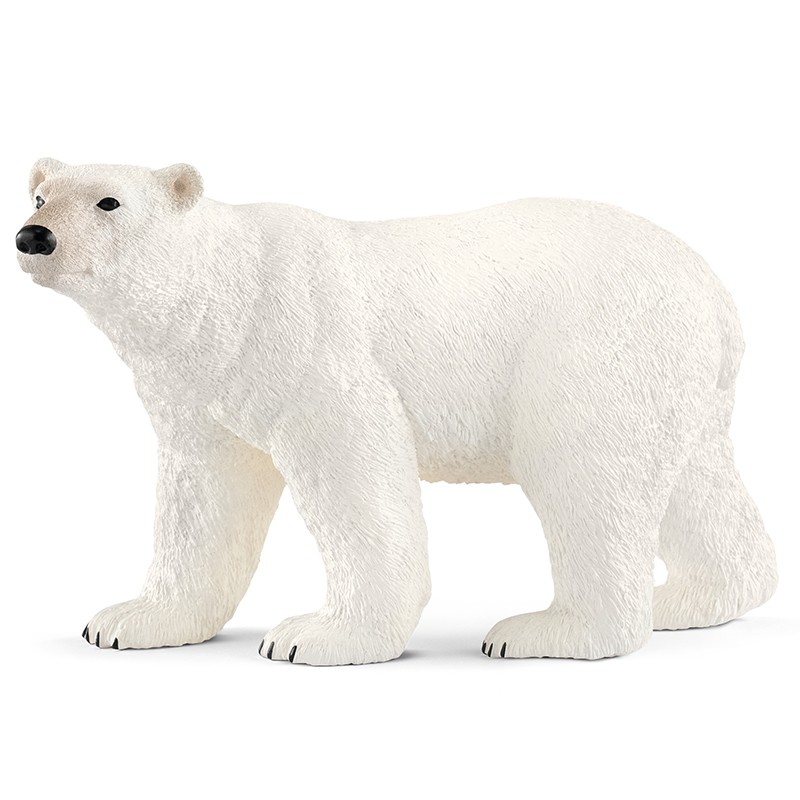 FIGURA OSO POLAR
