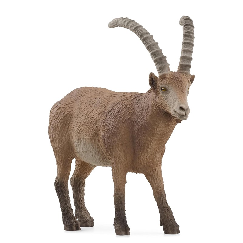 FIGURA CABRA MONTESCA