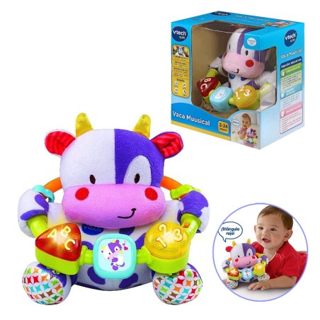 VACA MUUSICAL