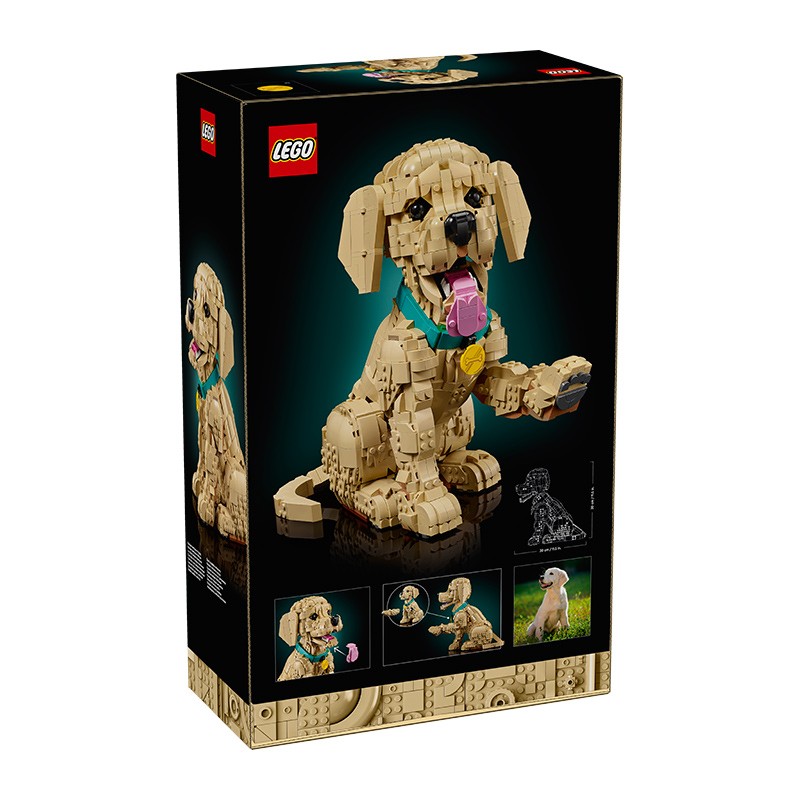 ICONS CACHORRO DE GOLDEN RETRIEVER