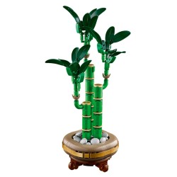 BOTANICALS BAMBU DE LA SUERTE