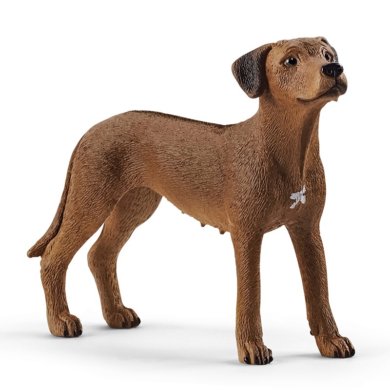 FIGURA PERRO CRESTADO RODESIAN