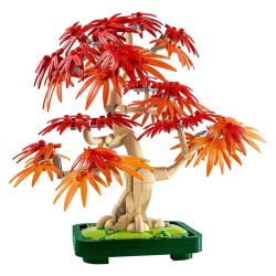 BOTANICALS BONSAI DE ARCE ROJO JAPONES