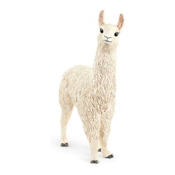 LAMA