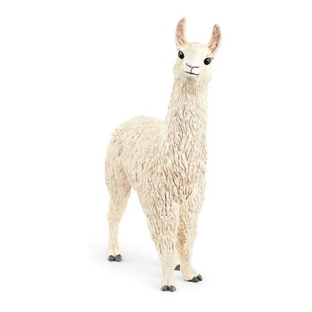 LAMA