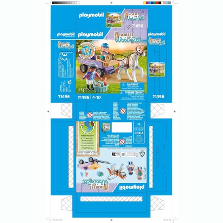 HORSES OF WATERFALL CARRUAJE C