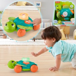 TORTUGA DE LINKIMALS