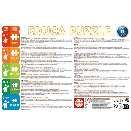 PUZZLE 300P SONIC NEON