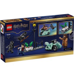 HARRY POTTER HAGRID Y HARRY HU