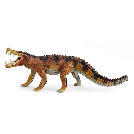 FIGURA KAPROSUCHUS